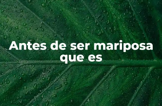 Antes de Ser Mariposa que es