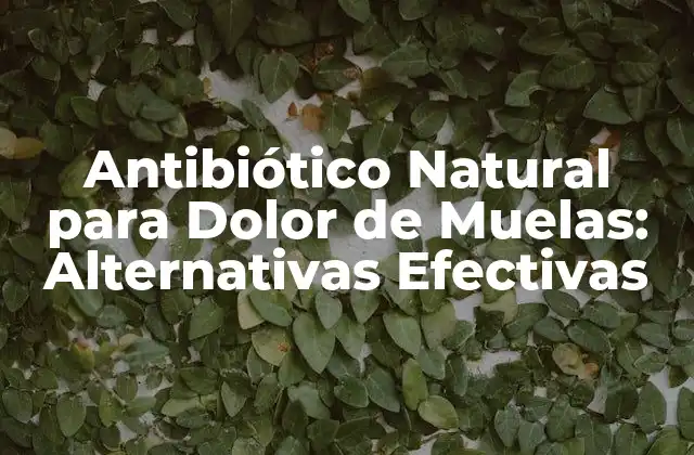 Antibiótico Natural para Dolor de Muelas: Alternativas Efectivas 2 ¿Cuáles son las Causas del Dolor de Muelas?