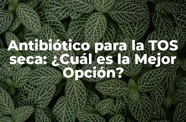 Antibiótico para la Tos Seca: ¿cuál es la Mejor Opción?