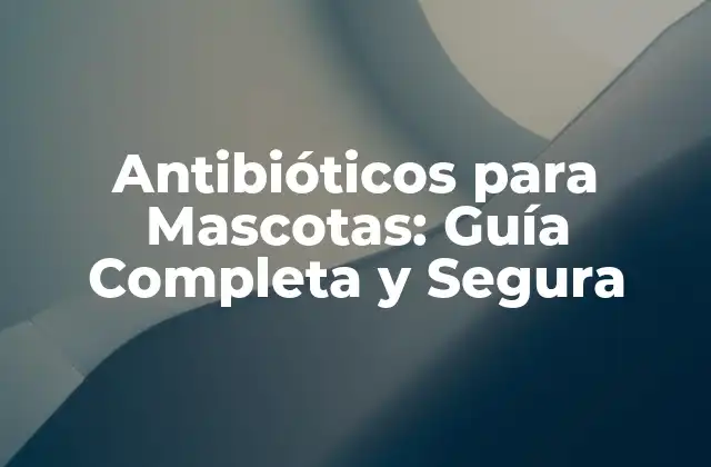 Antibióticos para Mascotas: Guía Completa y Segura