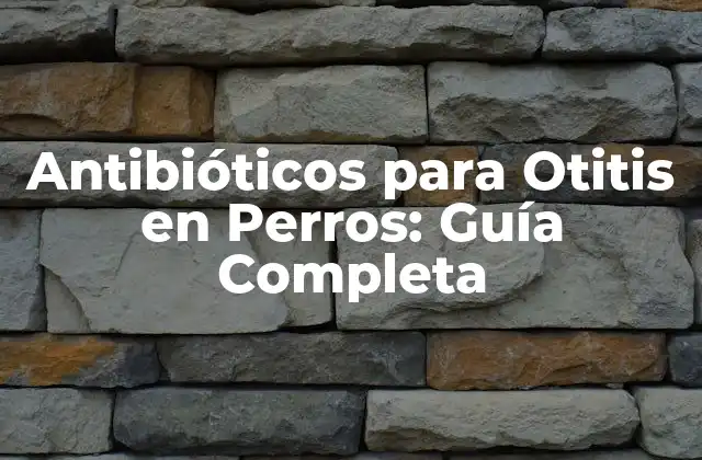 Antibióticos para Otitis en Perros: Guía Completa