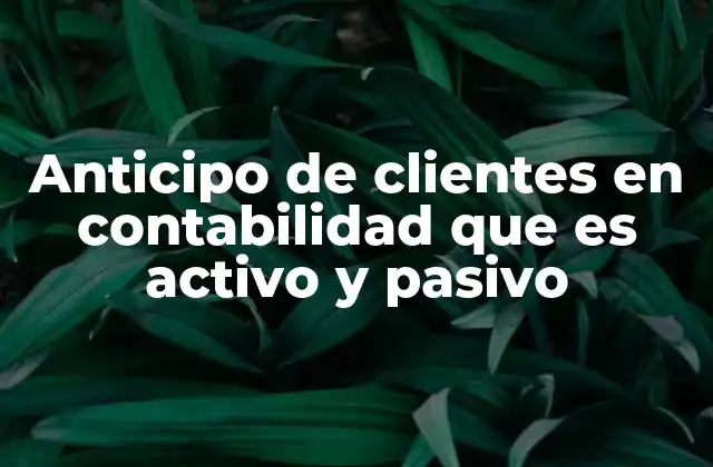 Anticipo de Clientes en Contabilidad que es Activo y Pasivo