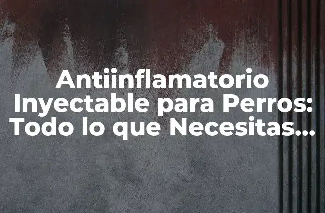 Antiinflamatorio Inyectable para Perros: Todo Lo que Necesitas Saber