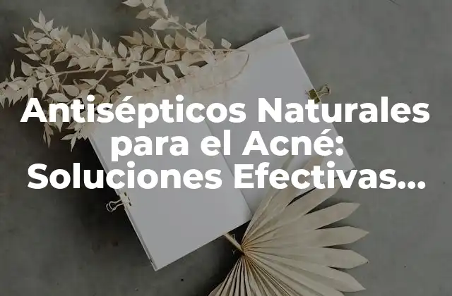 Antisépticos Naturales para el Acné: Soluciones Efectivas para una Piel Clara