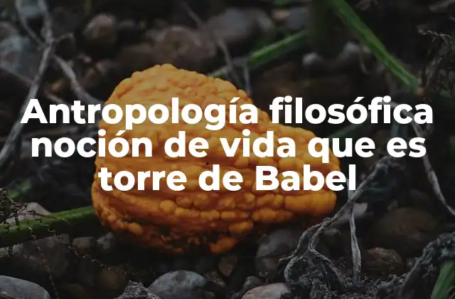 Antropología Filosófica Noción de Vida que es Torre de Babel