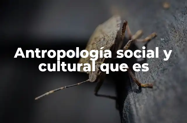 Antropología Social y Cultural que es