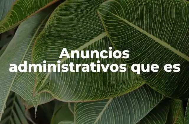 Anuncios Administrativos que es 2 La importancia de la comunicación formal en el ámbito público