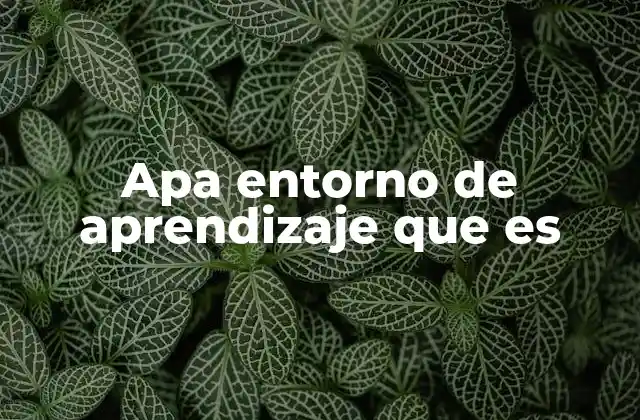 Apa Entorno de Aprendizaje que es