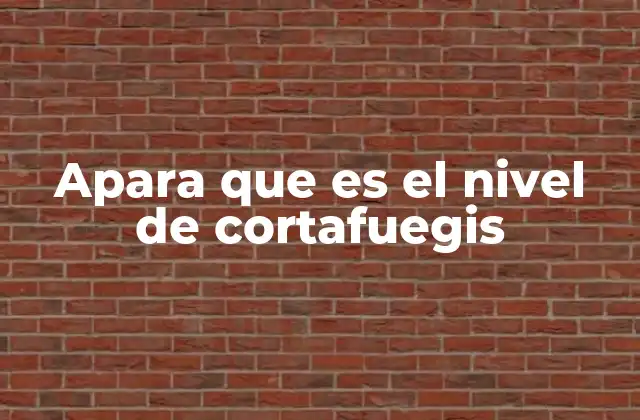 Apara que es el Nivel de Cortafuegis