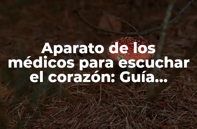 Aparato de los Médicos para Escuchar el Corazón: Guía Completa sobre el Estetoscopio