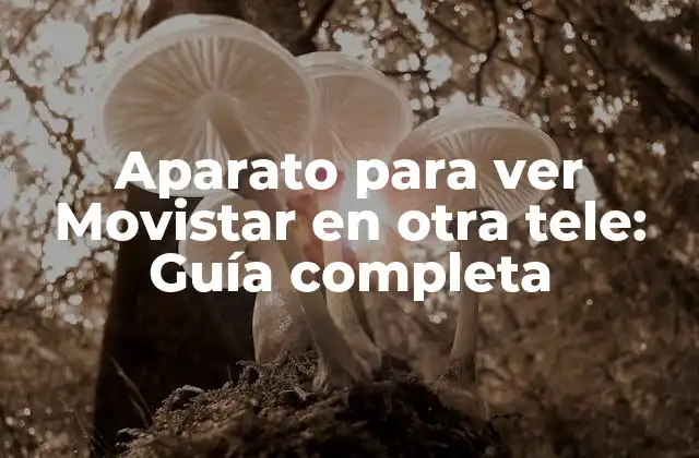 ¿Qué es necesario para ver Movistar en otra tele?