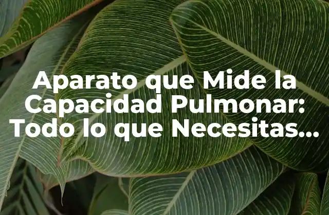 Aparato que Mide la Capacidad Pulmonar: Todo Lo que Necesitas Saber