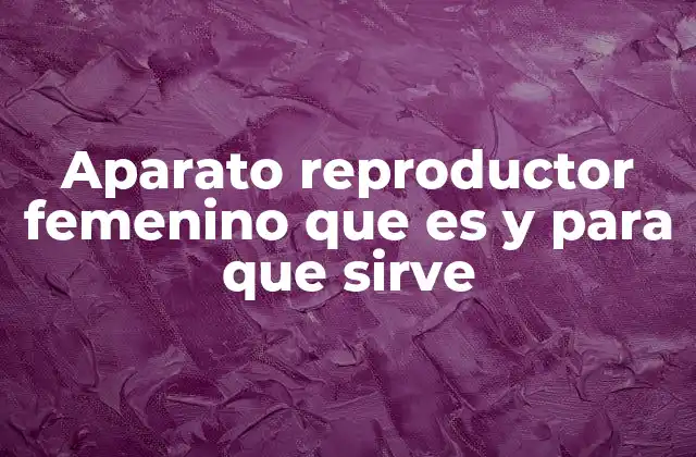 Aparato Reproductor Femenino que es y para que Sirve