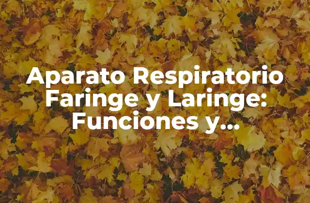 Aparato Respiratorio Faringe y Laringe: Funciones y Enfermedades