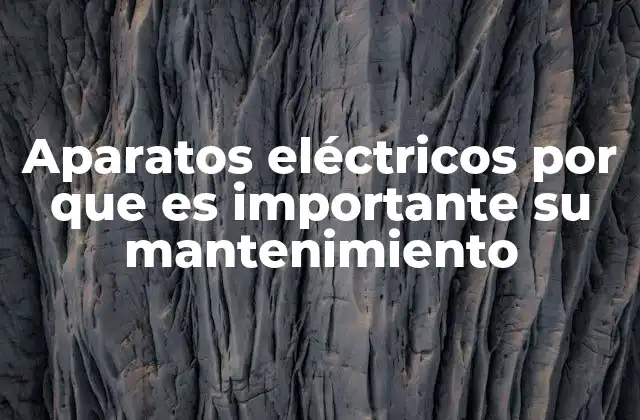 Aparatos Eléctricos por que es Importante Su Mantenimiento