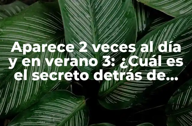 Aparece 2 Veces Al Día y en Verano 3: ¿cuál es el Secreto Detrás de Este Fenómeno Astronómico?