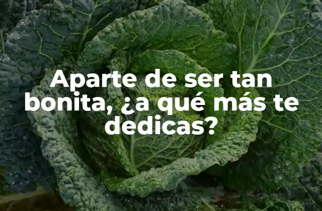 Aparte de Ser Tan Bonita, ¿a Qué Más Te Dedicas?