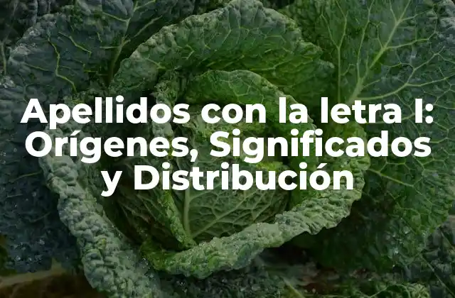 Apellidos con la Letra I: Orígenes, Significados y Distribución 2 Orígenes de los Apellidos con la letra I