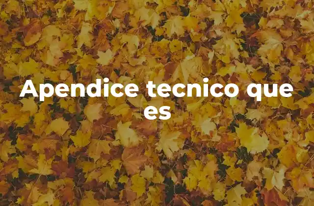 Apendice Tecnico que es