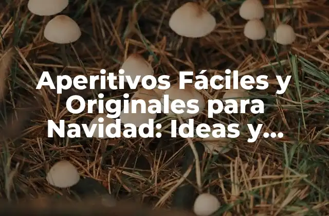Aperitivos Fáciles y Originales para Navidad: Ideas y Recetas Sorprendentes