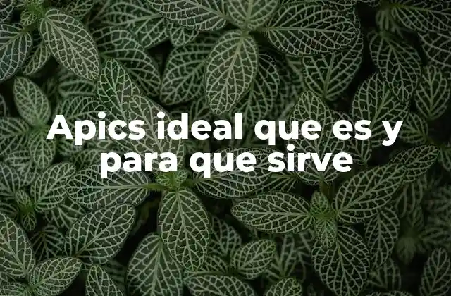 Apics Ideal que es y para que Sirve