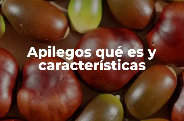 Apilegos Qué es y Características