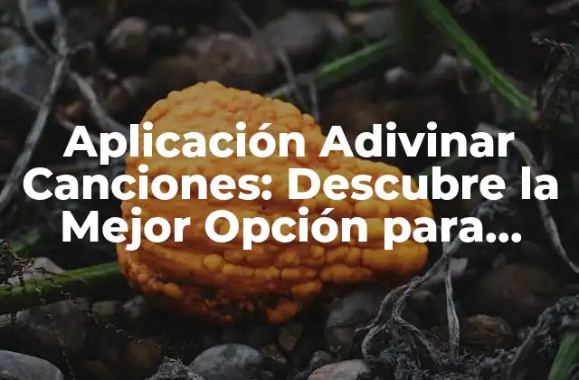 Aplicación Adivinar Canciones: Descubre la Mejor Opción para Identificar Música