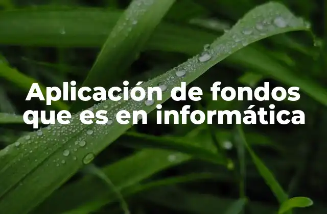 Aplicación de Fondos que es en Informática
