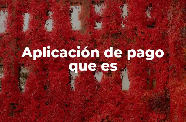 Aplicación de Pago que es