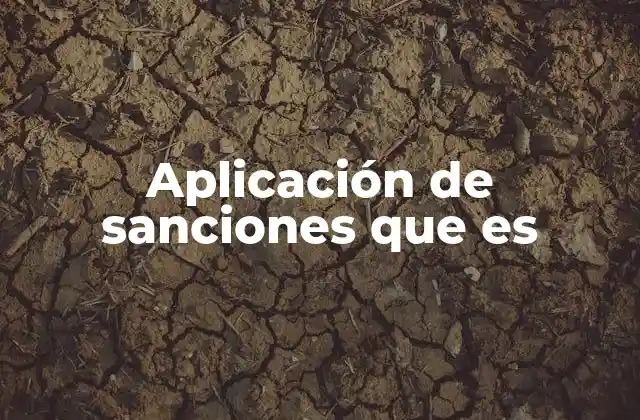 Aplicación de Sanciones que es 2 El rol de la justicia en la imposición de sanciones