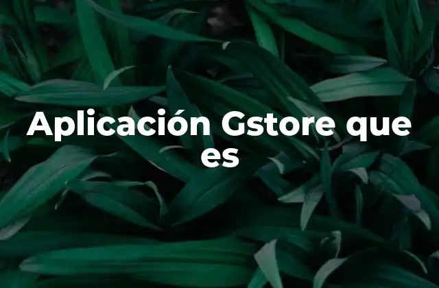 Aplicación Gstore que es