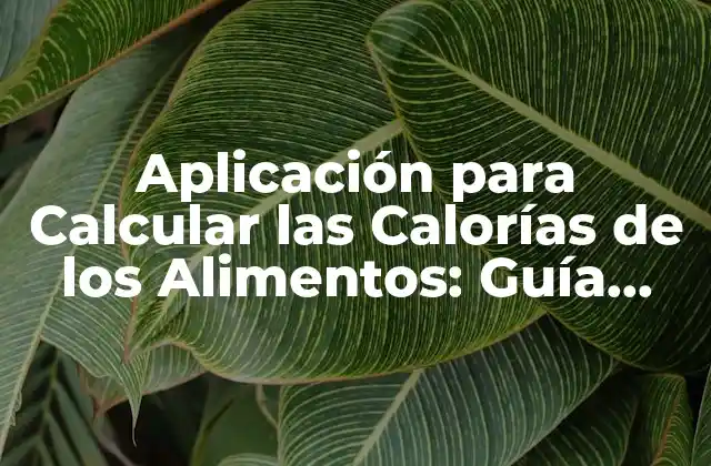 ¿Cómo Funcionan las Aplicaciones para Calcular las Calorías de los Alimentos?
