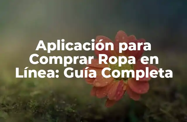 Aplicación para Comprar Ropa en Línea: Guía Completa