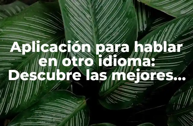 Aplicación para Hablar en Otro Idioma: Descubre las Mejores Opciones