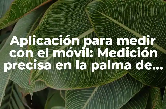 Aplicación para Medir con el Móvil: Medición Precisa en la Palma de Tu Mano