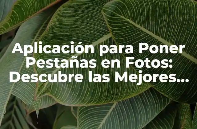 Aplicación para Poner Pestañas en Fotos: Descubre las Mejores Opciones