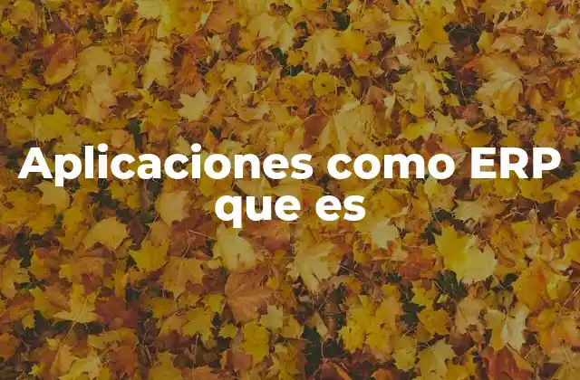 Aplicaciones como Erp que es