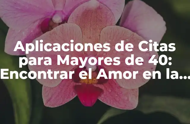 Aplicaciones de Citas para Mayores de 40: Encontrar el Amor en la Era Digital