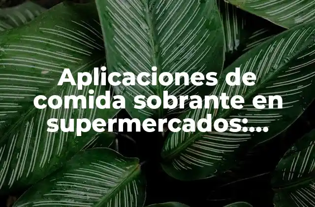 Aplicaciones de Comida Sobrante en Supermercados: ¿cómo Reducir el Desperdicio de Alimentos?