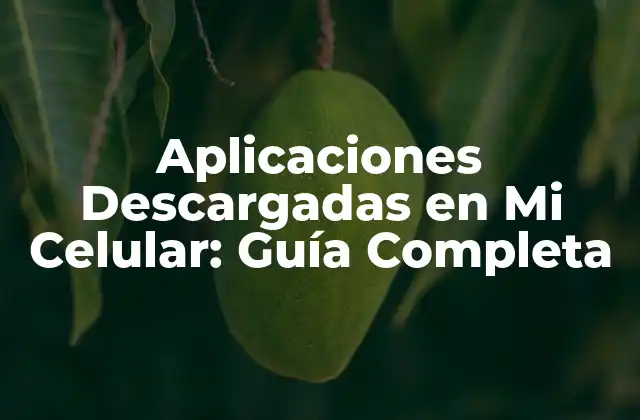 Aplicaciones Descargadas en Mi Celular: Guía Completa