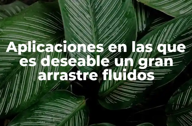 Aplicaciones en las que es Deseable un Gran Arrastre Fluidos