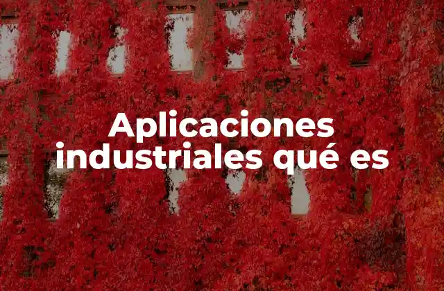 Aplicaciones Industriales Qué es