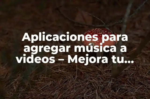 Aplicaciones para Agregar Música a Videos – Mejora Tu Contenido