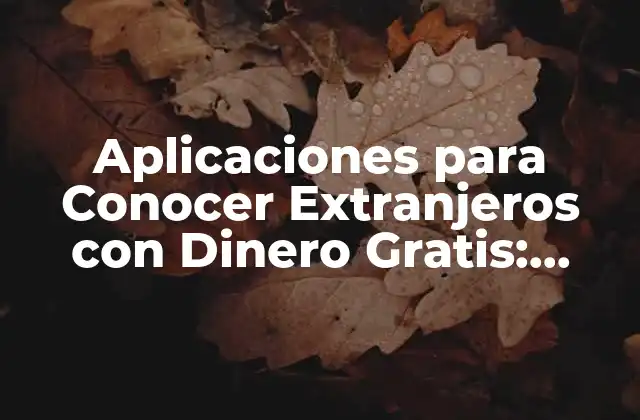 Aplicaciones para Conocer Extranjeros con Dinero Gratis: Descubre las Mejores Opciones