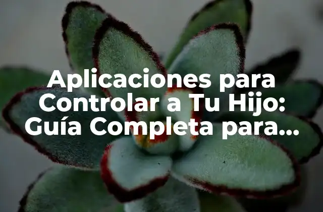 Aplicaciones para Controlar a Tu Hijo: Guía Completa para Padres