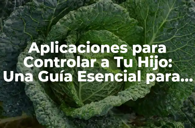 Aplicaciones para Controlar a Tu Hijo: una Guía Esencial para Padres Preocupados