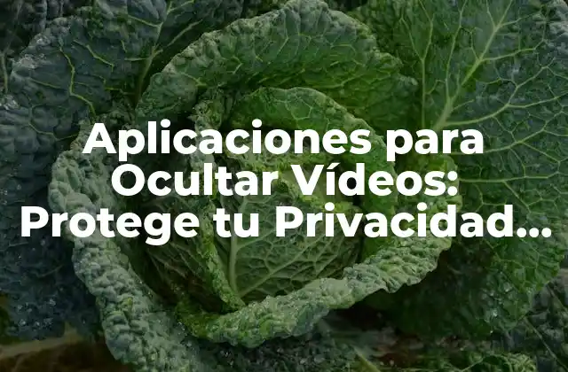 ¿Por qué es Importante Ocultar Vídeos en Línea?