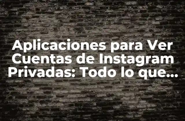 Aplicaciones para Ver Cuentas de Instagram Privadas: Todo Lo que Debes Saber