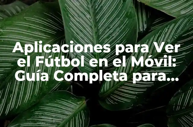 Aplicaciones para Ver el Fútbol en el Móvil: Guía Completa para Disfrutar Del Deporte Rey en Movimiento