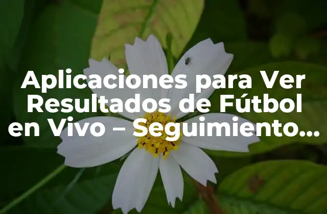 Aplicaciones para Ver Resultados de Fútbol en Vivo – Seguimiento de Partidos y Noticias